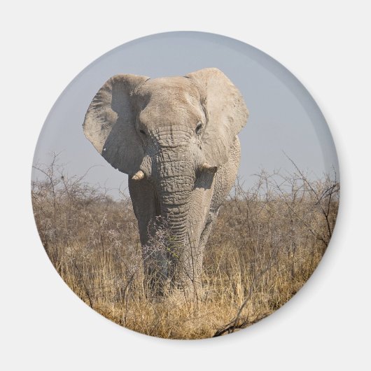 Aimant Eléphant (Devant)