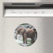 Aimant éléphant (In Situ (Lave-vaisselle))