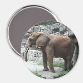 Aimant éléphant (Recto/Verso)