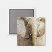 Aimant Elephant 2004 (Recto/Verso)