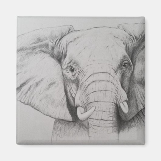 Aimant Elephant 2011 (Devant)