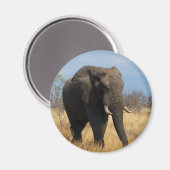 Aimant Eléphant africain (Recto/Verso)