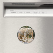 Aimant Eléphant asiatique (In Situ (Lave-vaisselle))