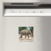 Aimant Eléphant Asiatique Sauver l'aimant Date (In Situ (Lave-vaisselle))