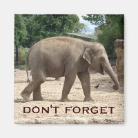 Eléphant Asiatique Sauver l'aimant Date