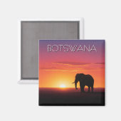 Aimant Eléphant au Botswana au coucher du soleil (Recto/Verso)