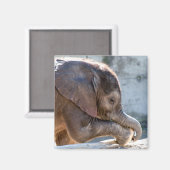 Aimant Eléphant bébé (Recto/Verso)