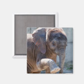 Aimant Eléphant bébé (Recto/Verso)