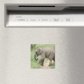 Aimant Éléphant bébé suivant sa mère, Corbett (In Situ (Lave-vaisselle))