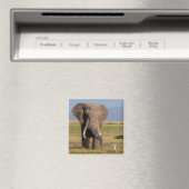 Aimant Éléphant en recherche (In Situ (Lave-vaisselle))