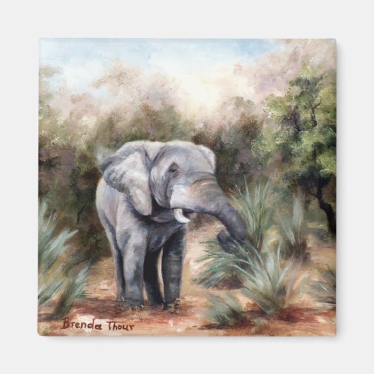 Aimant Eléphant passant par l'aimant (Devant)