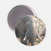 Aimant Eléphant Pop Art (Recto/Verso)