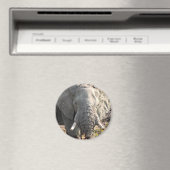 Aimant Eléphant Pop Art (In Situ (Lave-vaisselle))