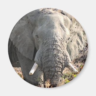 Aimant Eléphant Pop Art