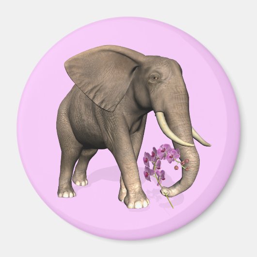 Aimant Elephant With Pink Orchid (Devant)