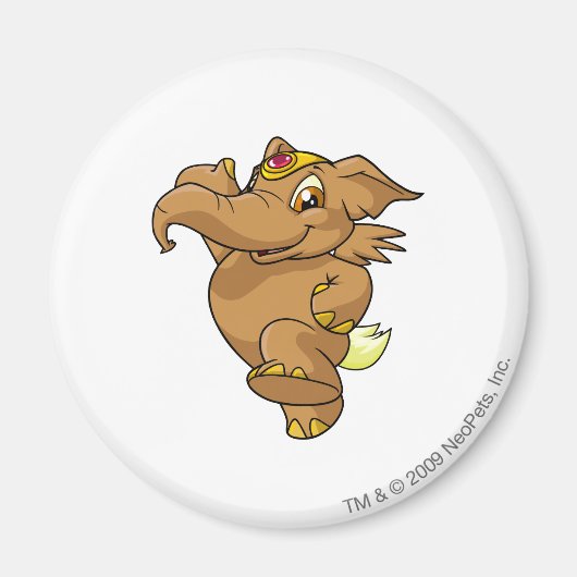 Aimant Elephante Brown (Devant)
