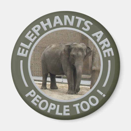 Aimant ÉLÉPHANTS (Devant)