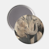 Aimant Eléphants (Recto/Verso)