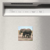 Aimant Eléphants africains - Petite infirmière de veau (In Situ (Lave-vaisselle))