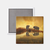 Aimant Eléphants asiatiques en Thaïlande sous un coucher  (Recto/Verso)
