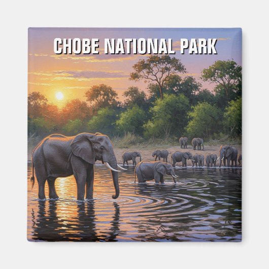 Aimant Eléphants dans le Parc national de Chobe Botswana (Devant)