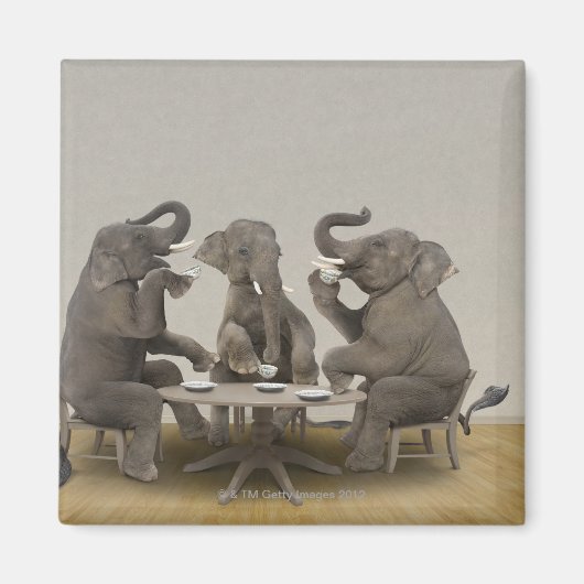Aimant Elephants having tea party (Devant)