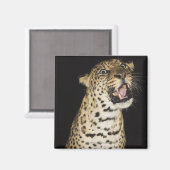 Aimant Élevage de léopard (Recto/Verso)