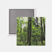 Aimant Elijah Bristow State Park, Dexter, Oregon (Recto/Verso)