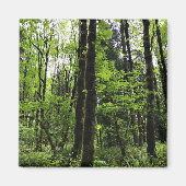 Aimant Elijah Bristow State Park, Dexter, Oregon (Devant)