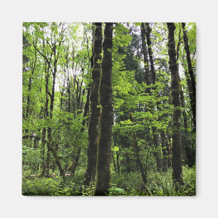 Aimant Elijah Bristow State Park, Dexter, Oregon