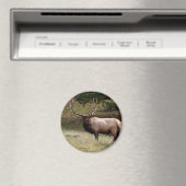 Aimant Elk dans le désert (In Situ (Lave-vaisselle))