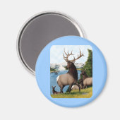 Aimant Elk Wapiti (Recto/Verso)