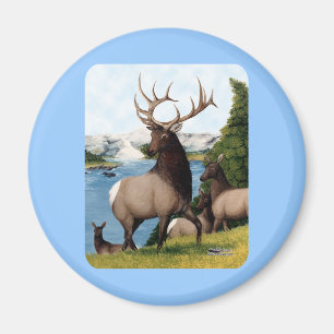 Aimant Elk Wapiti