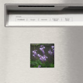 AIMANT ELLES D'HOSTE PURPLE (In Situ (Lave-vaisselle))