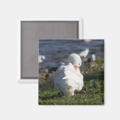 Aimant Emden Goose (Recto/Verso)