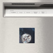 Aimant Émetteur électrique, c.600 BC (In Situ (Lave-vaisselle))