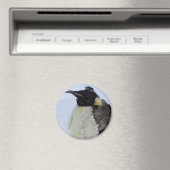 Aimant Empereur de Molting Penguin (In Situ (Lave-vaisselle))