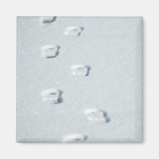 Aimant Empreintes de neige (Devant)