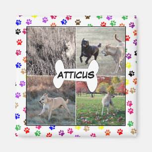 Aimant Empreintes de pattes personnalisés Instagram de