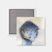 Aimant Emu (Recto/Verso)