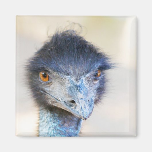 Aimant Emu (Devant)