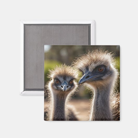 Aimant Emu Birds (Recto/Verso)