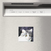 Aimant en argent et en chaton blanc (In Situ (Lave-vaisselle))