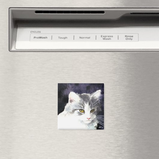 Aimant en argent et en chaton blanc (In Situ (Lave-vaisselle))