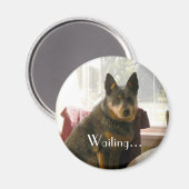 Aimant En attente... (Recto/Verso)