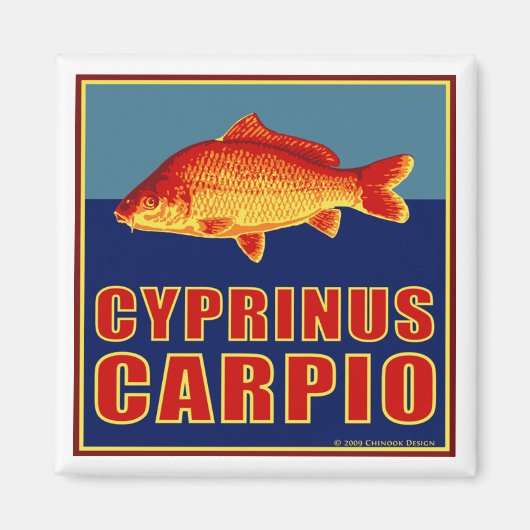 Aimant en carpe (Devant)