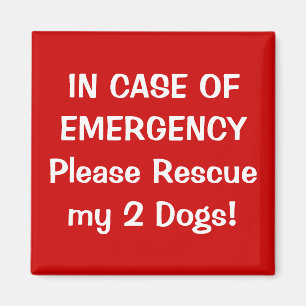 Aimant En Coque d'urgence