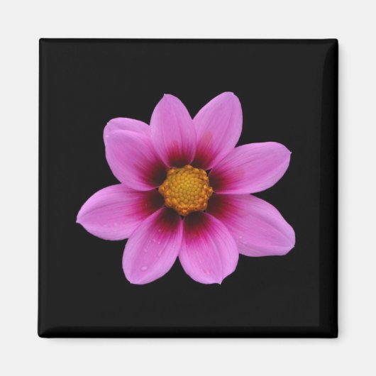 Aimant en fleur rose (Devant)