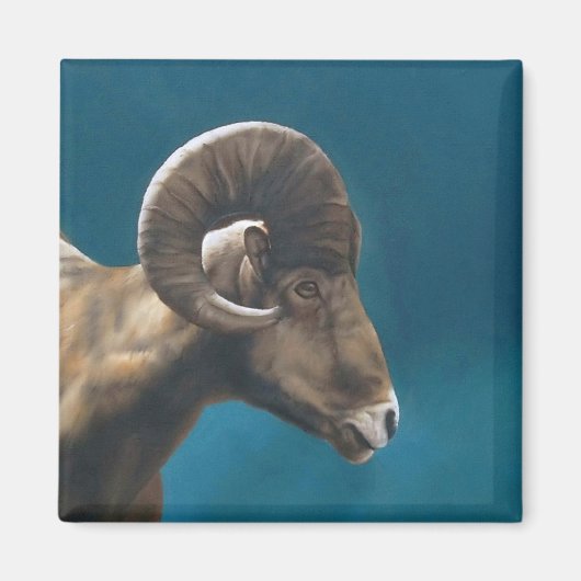 Aimant En haut (Devant)