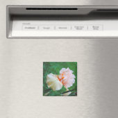 Aimant en Iris Pale Peach (In Situ (Lave-vaisselle))